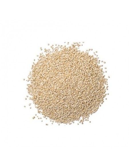 SEMILLA DE QUINOA BLANCA 1 KG