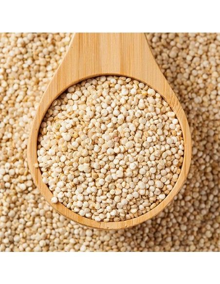 SEMILLA DE QUINOA BLANCA 1 KG
