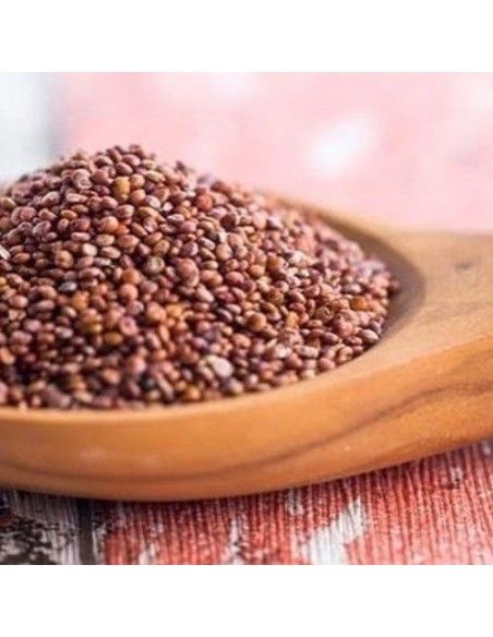 SEMILLA DE QUINOA ROJA 1 KG