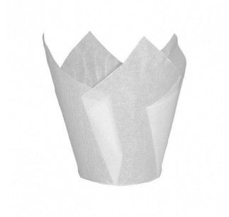 SK CAPSULA TULIPA BLANCA 24 UN