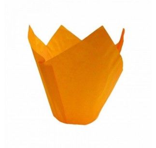 SK CAPSULA TULIPA NARANJA 24 UN