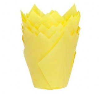SK CAPSULA TULIPA AMARILLA 24 UN