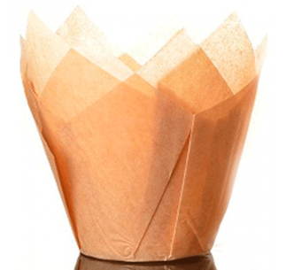 HOUSE OF MARIE CAPSULA TULIPA CARAMELO 36 UN