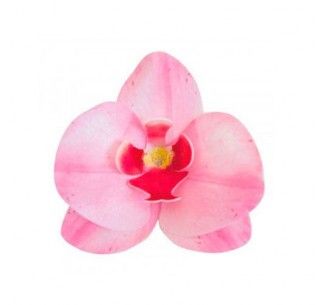DEKORA ORQUIDEA OBLEA ROSA 8.5- 7.5 CM