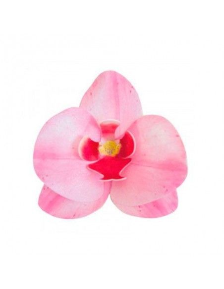 DEKORA ORQUIDEA OBLEA ROSA 8.5- 7.5 CM