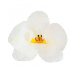 DEKORA ORQUIDEA OBLEA BLANCA 8.5- 7.5 CM