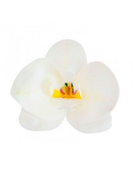 DEKORA ORQUIDEA OBLEA BLANCA 8.5- 7.5 CM