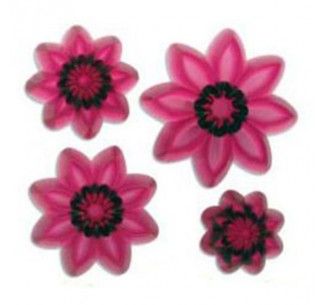 JEM CORTADORES PETALO PUNTIAGUDO MARGARITA SET 4