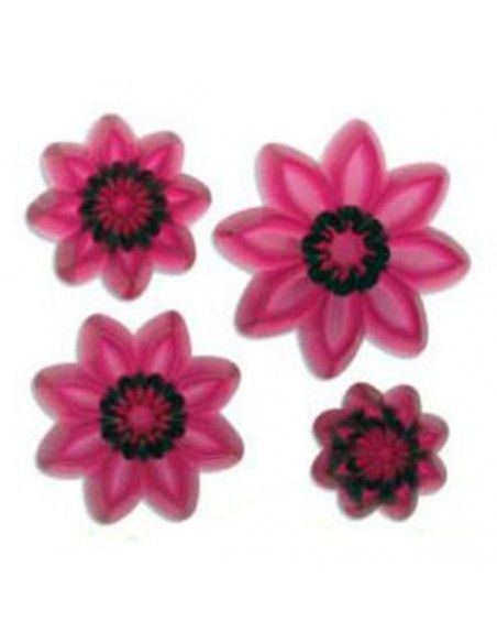 JEM CORTADORES PETALO PUNTIAGUDO MARGARITA SET 4