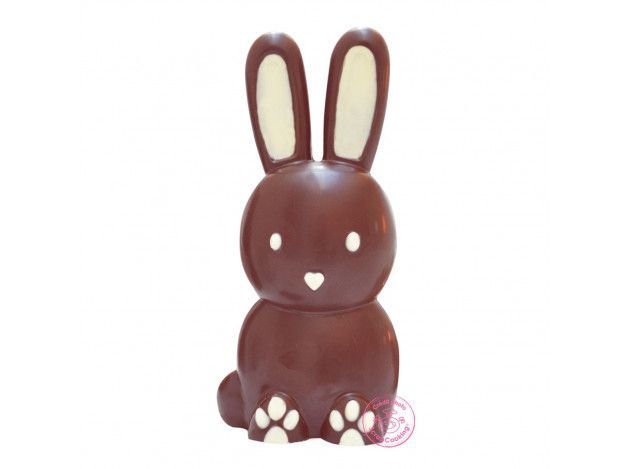 SCRAPCOOKING MOLDE CHOCOLATE CONEJO 3D