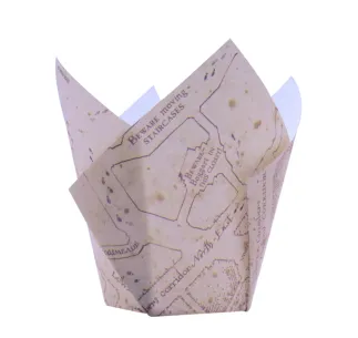 PME TULIPA MAPA HARRY POTTER 2