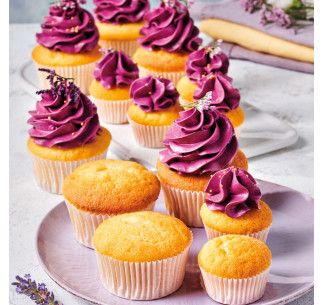 FC PREPARADO CUPCAKES 1 KG 2