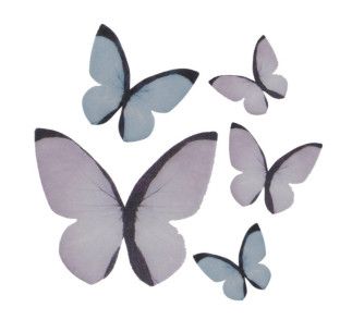 SURTIDO DE MARIPOSAS 8 UD