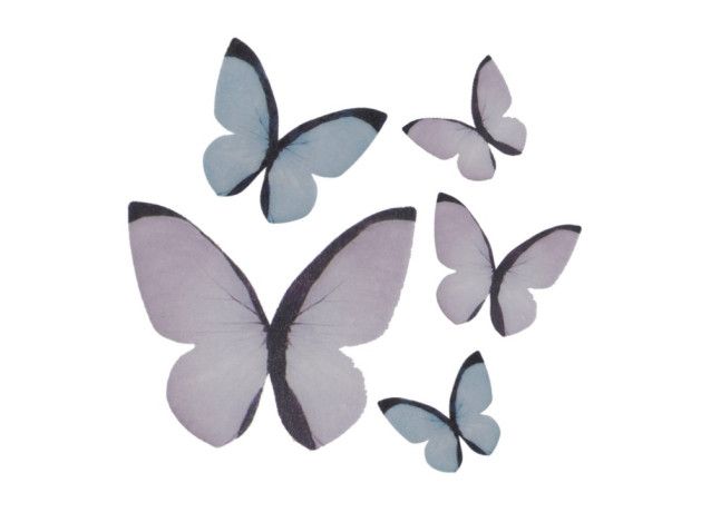 SURTIDO DE MARIPOSAS 8 UD