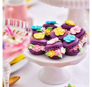FC PREPARADO MACARONS 300 G 2