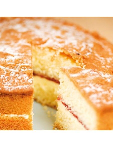 FC PREPARADO BIZCOCHO SIN GLUTEN 500 GR