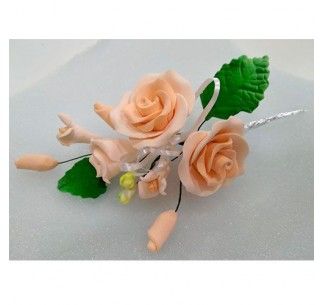 BOUQUET DE ROSAS SALMON