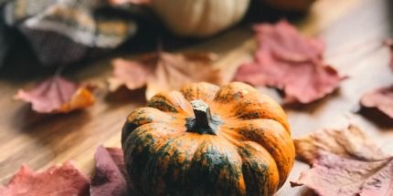 Recetas para comenzar el otoño con buen pie.